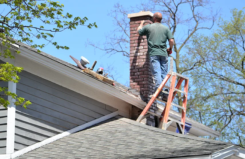 Chimney & Fireplace Inspections Services in Southaven, MS